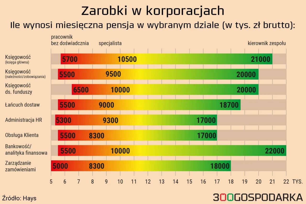 Ile zarabia doradca inwestycyjny? Dane, czynniki, perspektywy
