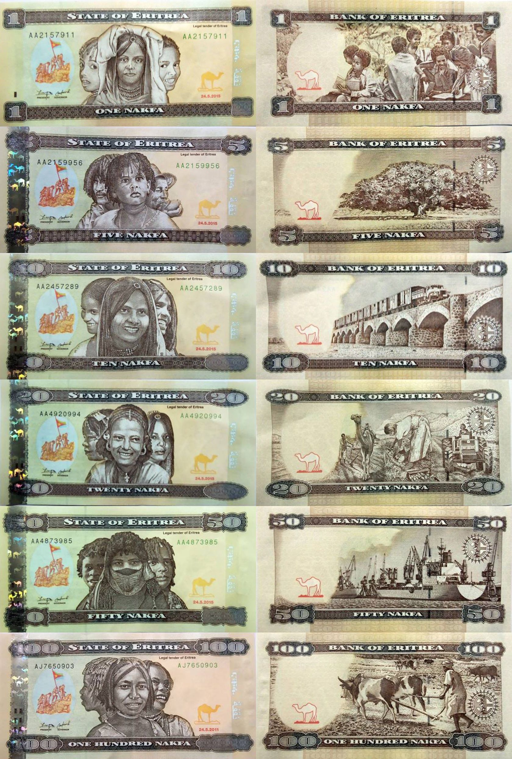 Erytrea wprowadza do obiegu nową serię banknotów