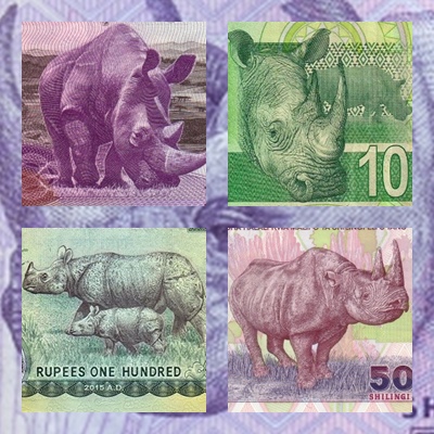 Ciekawe motywy na banknotach: Nosorożce