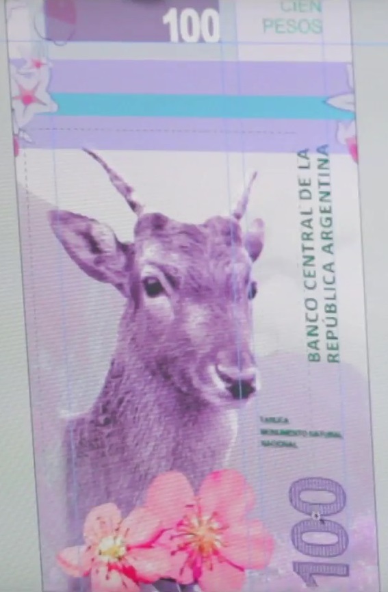 Argentyna: BCRA ujawnił projekt nowego banknotu o nominale 100 peso