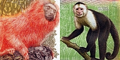 Ciekawe motywy na banknotach: Małpy