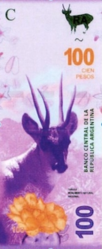 Argentyna do końca tego roku wyda ostatni banknot obiegowy z nowej serii